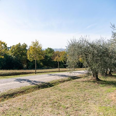 בית הארחה Città della Pieve 	San Carlo A La Molinella מראה חיצוני תמונה