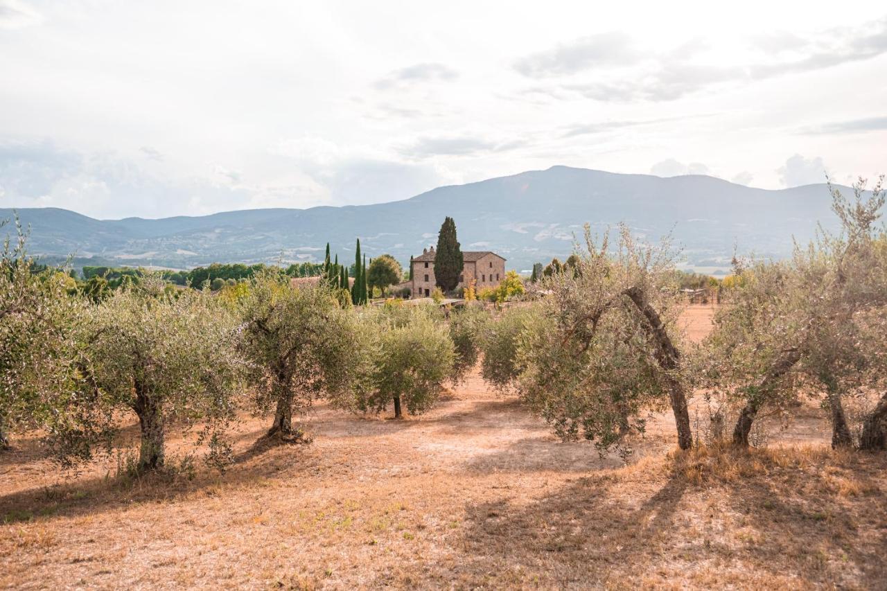 בית הארחה Città della Pieve 	San Carlo A La Molinella מראה חיצוני תמונה