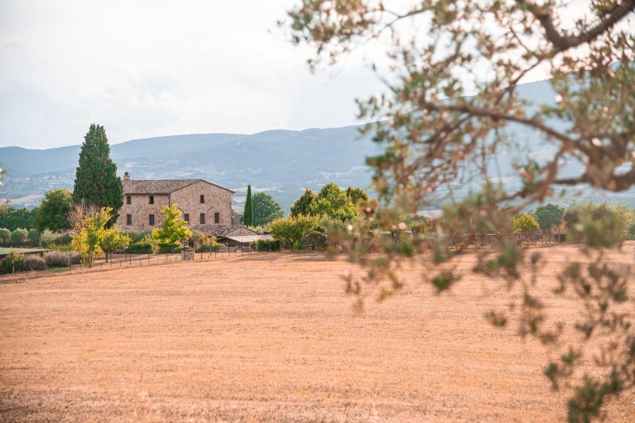 בית הארחה Città della Pieve 	San Carlo A La Molinella מראה חיצוני תמונה