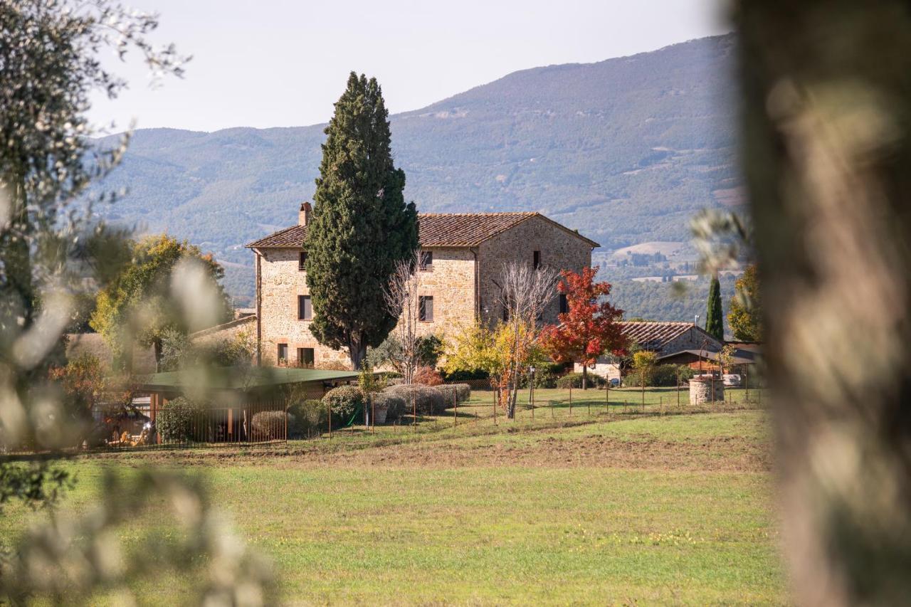בית הארחה Città della Pieve 	San Carlo A La Molinella מראה חיצוני תמונה