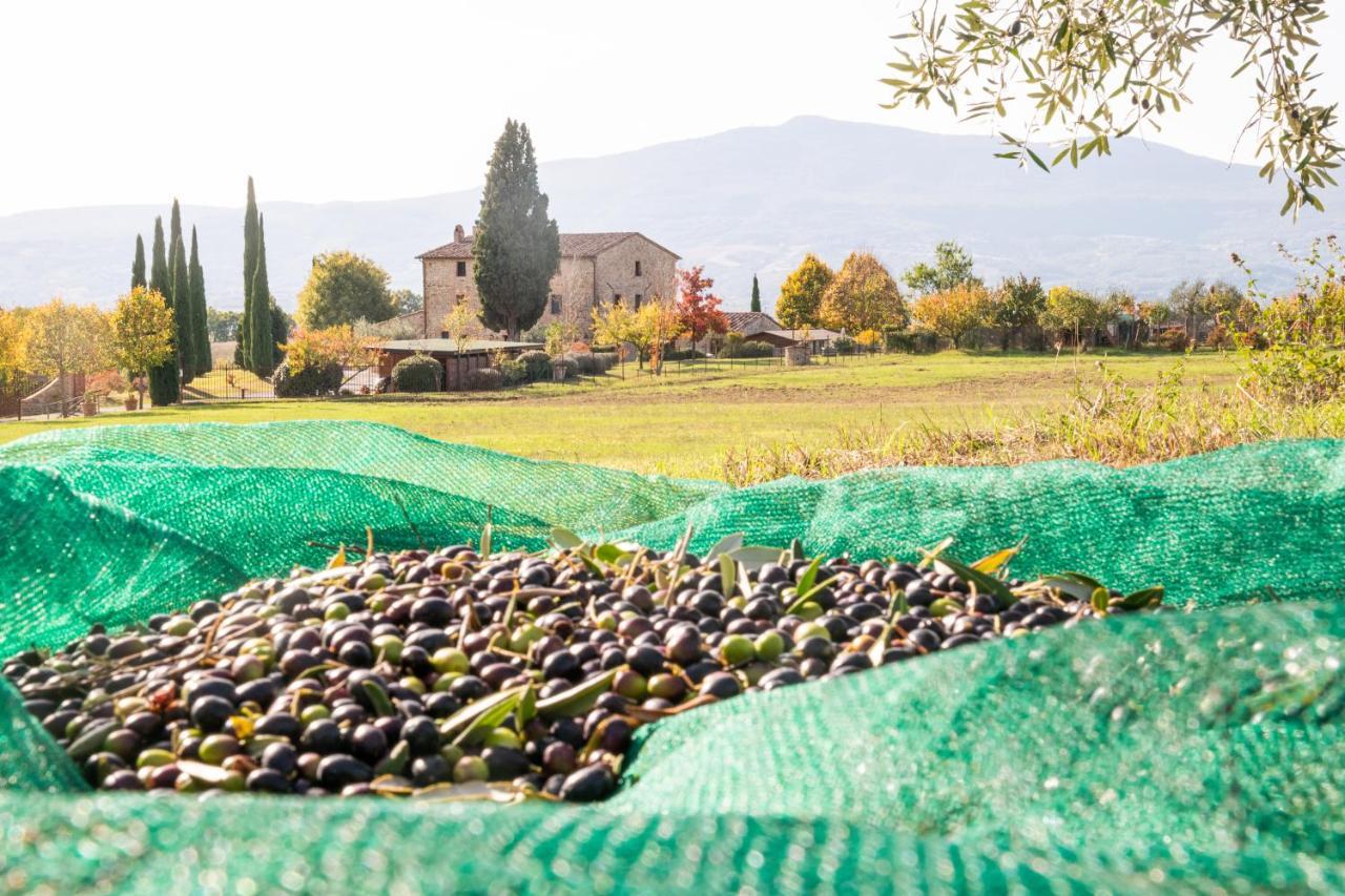 בית הארחה Città della Pieve 	San Carlo A La Molinella מראה חיצוני תמונה