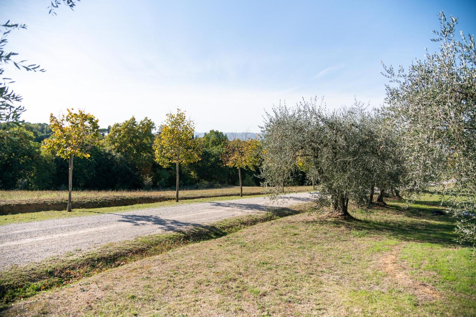 בית הארחה Città della Pieve 	San Carlo A La Molinella מראה חיצוני תמונה