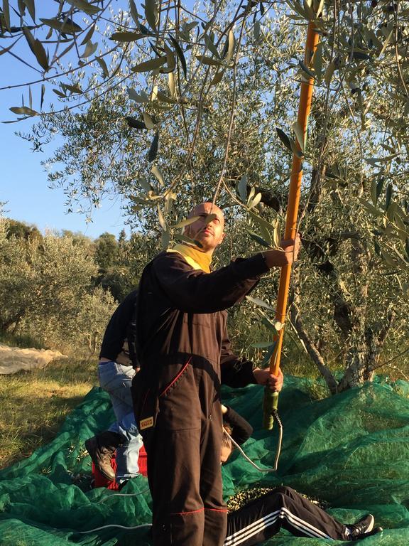 בית הארחה Città della Pieve 	San Carlo A La Molinella מראה חיצוני תמונה